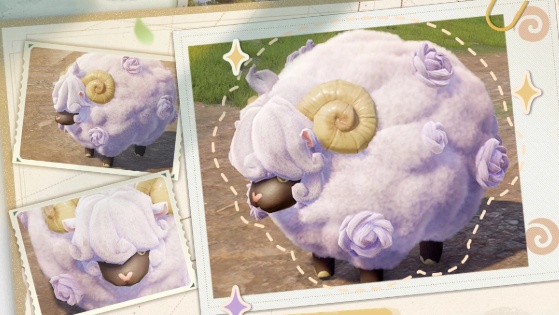 Tous les emplacements des animaux les plus rares dans Infinity Nikki